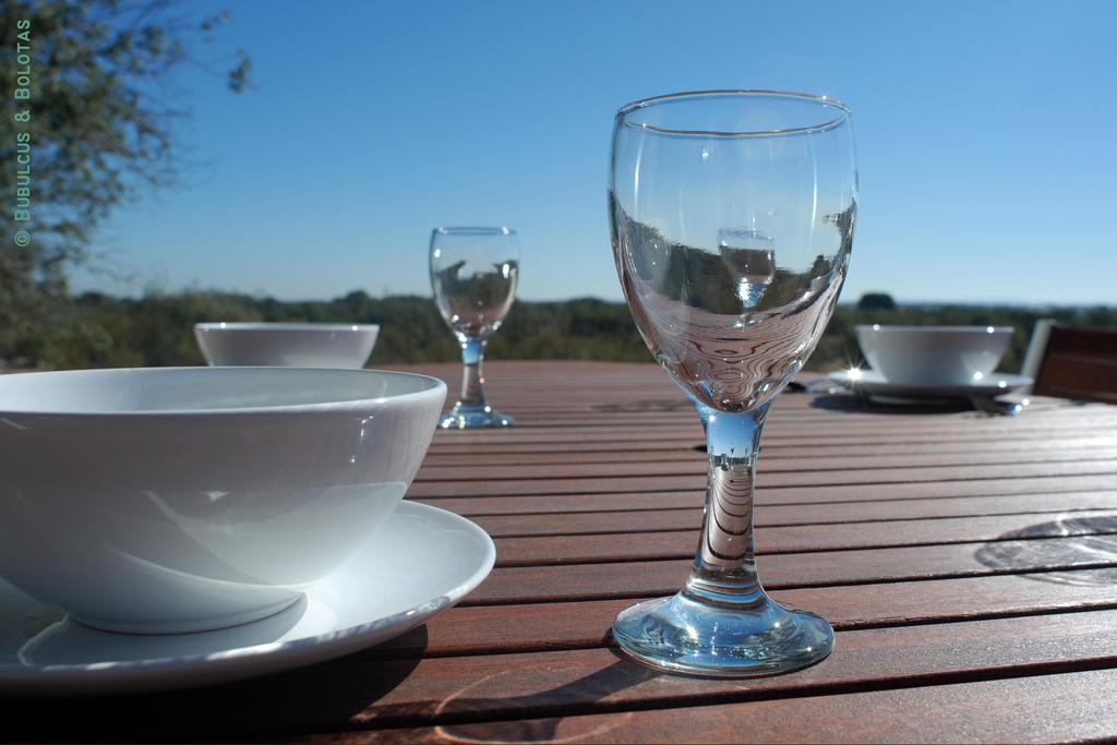 Bubulcus And Bolotas - Off Grid Nature Holiday Home Vimieiro  Kamer foto